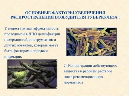 Возбудитель общий