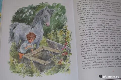 Луша книга