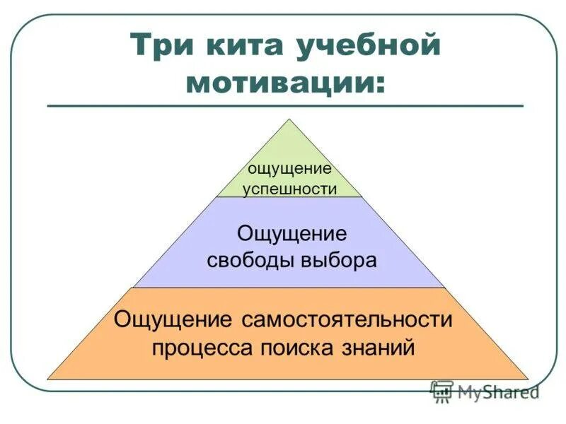 3 мотивации. Учебная мотивация. Три кита мотивации. Понятие учебной мотивации. Три вида учебной мотивации.