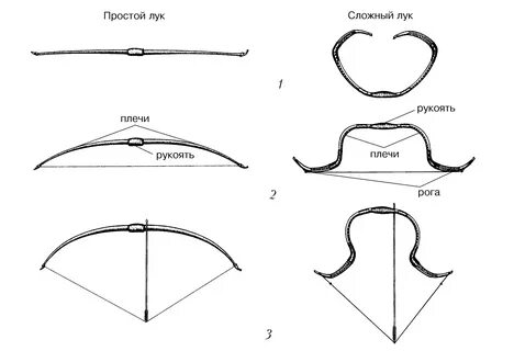 Лук: 1 - ненатянутый, 2 - натянутый, 3 - с натянутой тетивой (по Э. Макьюэн...