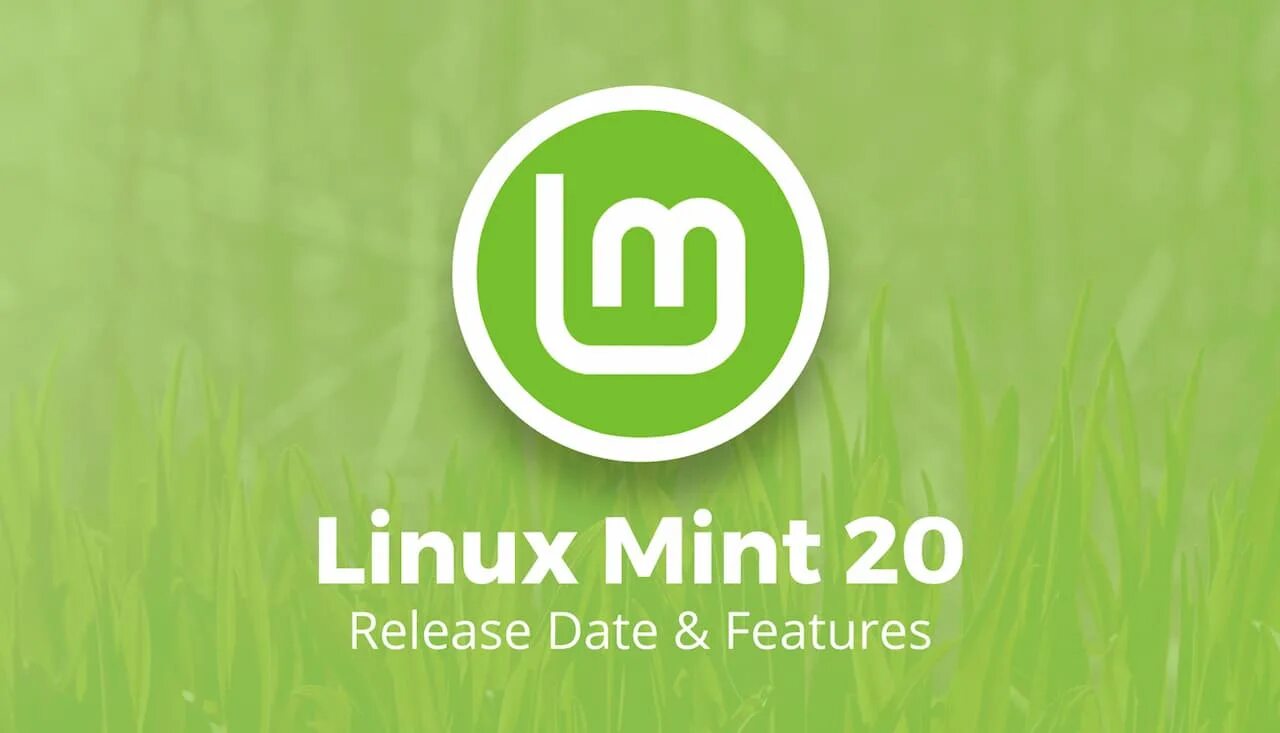 Mint cd. Mint 20 cinnamon. linux mint. linux mint 20. linux mint cinnamon 20.