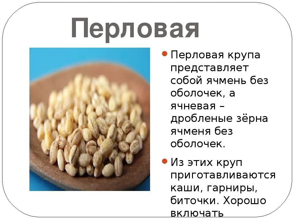 Перловая крупа зерновая культура. Перловая крупа из чего. Из чего крупа перловка. Что делают из перловой крупы.