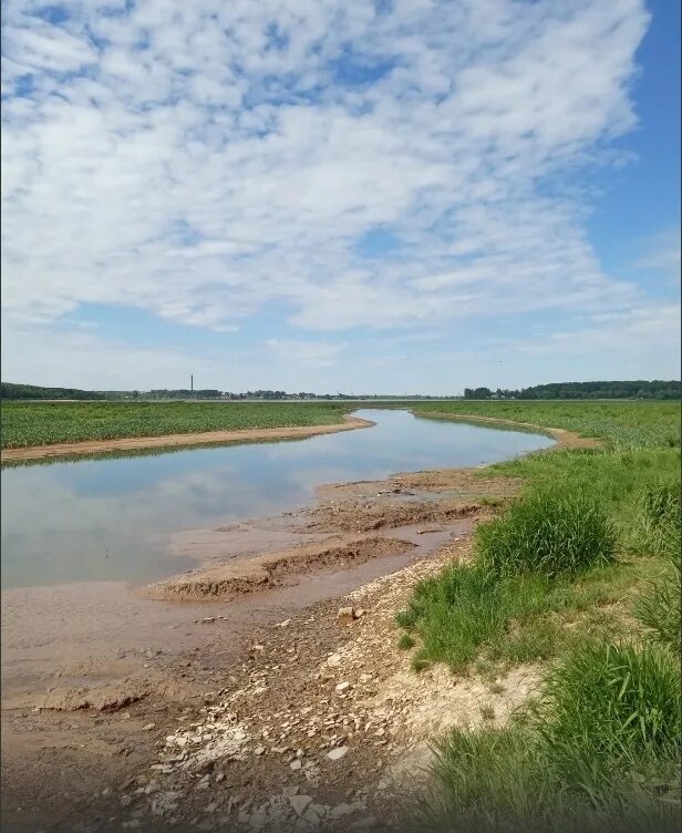 Река зырянка новосибирск. Река зырянка. Река зырянка новосибирск. Березниковская 65. Река зырянка.