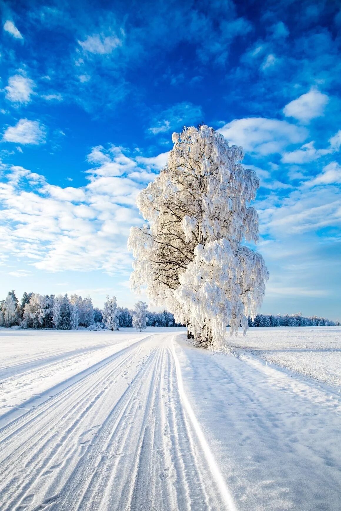 Зима. Зима пейзаж. Снежная зима. Красивая зима. Зимнее снежное день