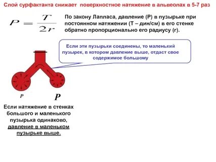 Лаплас поверхностное натяжение