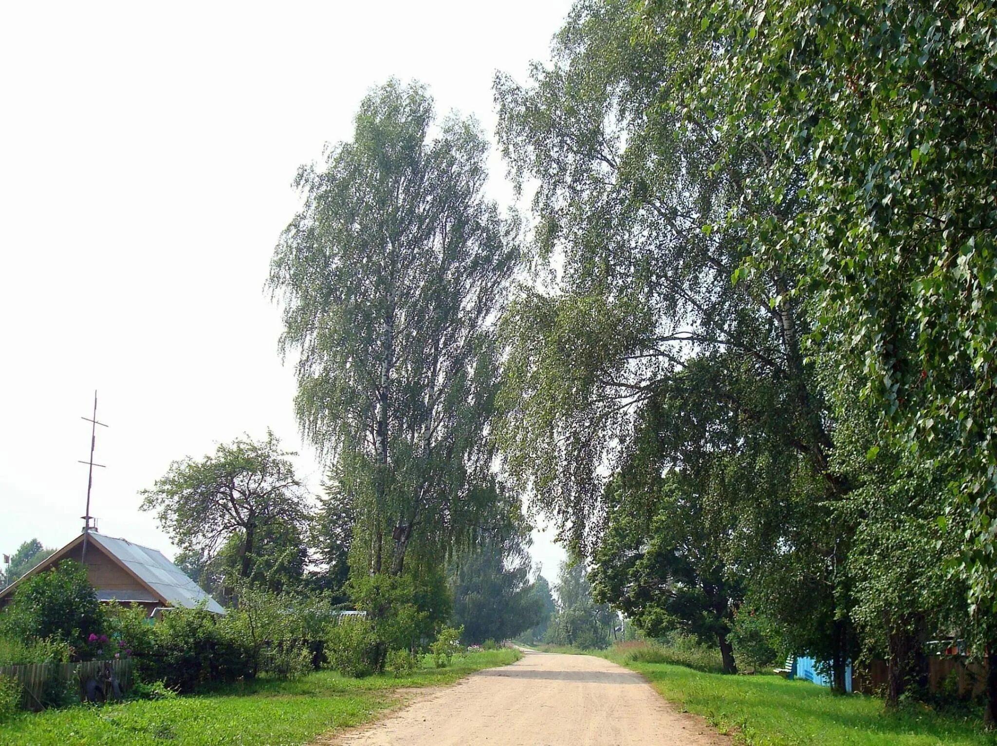 Россия.СПБ- Белоруссия.Витебская область, Городокский район, д.Луговские - KIA C