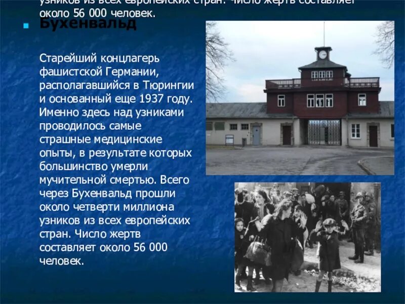 Бухенвальд концлагерь. Бухенвальд тюрингия. концлагерь бухенвальд презентация. концлагерь бухенвальд опыты.