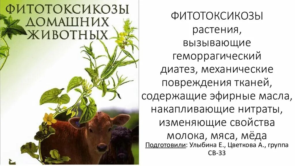 Фитотоксины. Растения вызывающие геморрагический диатез. Фитотоксикозы Ветеринария. Яды растительного происхождения. Фитотоксикозы животных презентация.