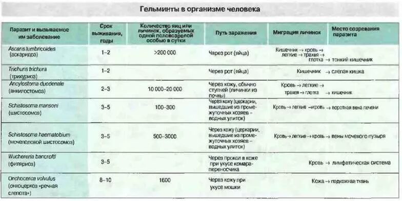 Таблица заболевания кожи 8 класс биология. Паразитарные заболевания таблица. Грибковые и паразитарные таблица. Грибковые и паразитарные заболевания кожи таблица. Иммунитет при паразитарных болезнях.