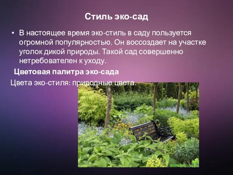 В саду было совершенно. Лаванда рабатка миксбордер. Перспективы развития проекта экосад. Голицынский парк краснодар японский сад. Сад клода моне в живерни.