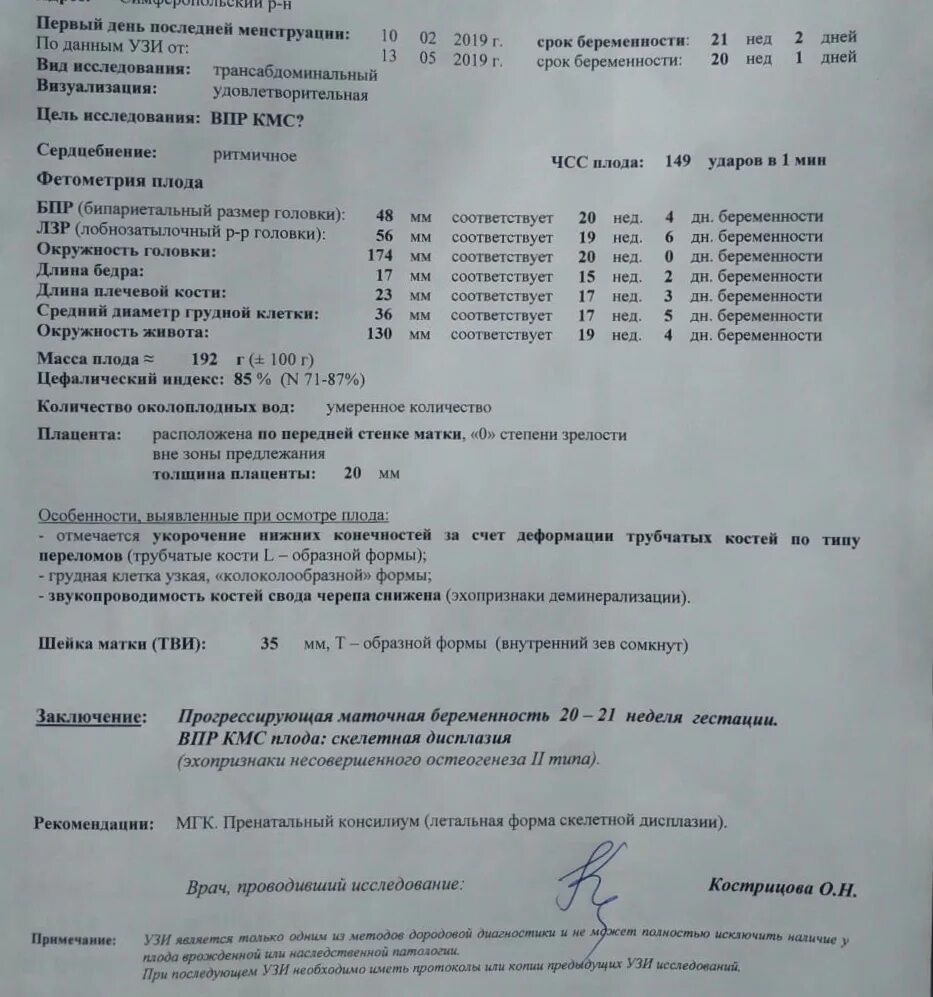 Узи отзывы спб. УЗИ 20 недель беременности заключение. Протокол УЗИ 12 недель беременности. Заключение УЗИ на 12 неделе беременности. УЗИ 15 недель беременности протокол.