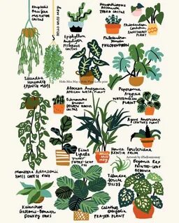 Contain plants
