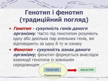 Фенотип чист