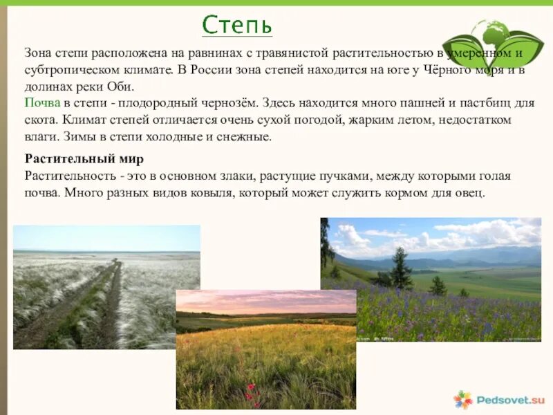 Какие природные зоны есть в степи. Степь краткая характеристика природной зоны. Презентация по теме природные зоны. Доклад про степь. Рассказ о степи.