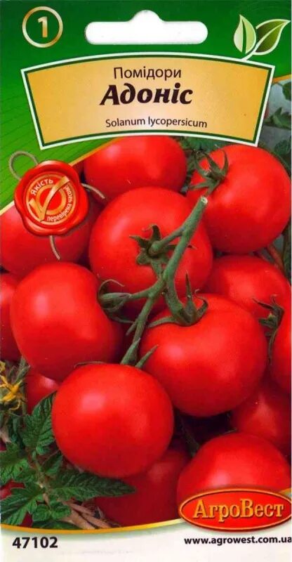Сорт томата адонис. Томат адонис характеристика и описание сорта. Сорт томата адонис. Томат адонис характеристика и описание сорта. Томат адонис ( из риги ).
