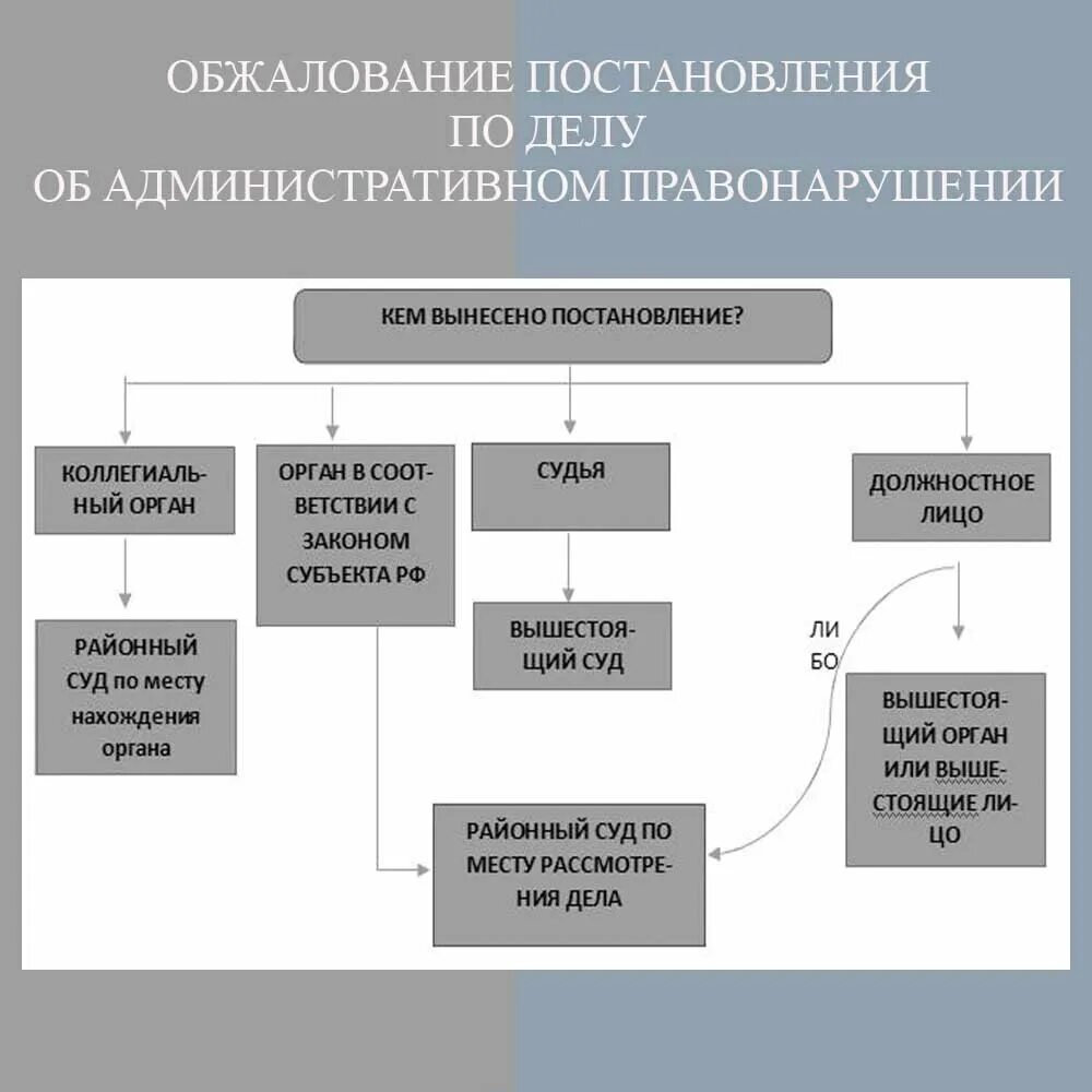 Какие сроки должностных лиц. Схема обжалования постановления об административном правонарушении. Обжалование по КОАП РФ схема. Схема обжалования по делу об административном правонарушении. Пересмотр постановления по делу об административном правонарушении.