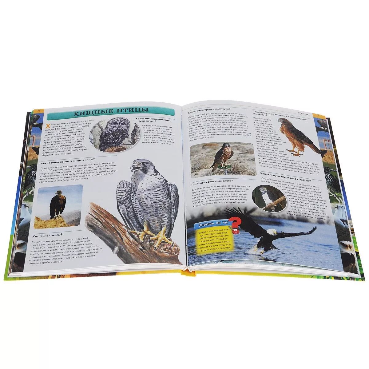 Энциклопедия интересных вещей детское радио подкаст. Книга энциклопедия интересных фактов. Детские электронные энциклопедии. Детские энциклопедии для дошкольников. Энциклопедия кирилла и мефодия 2012.