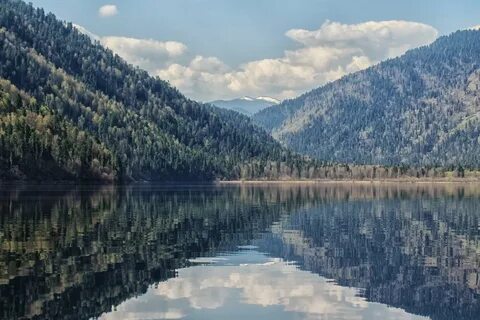 Алтай море