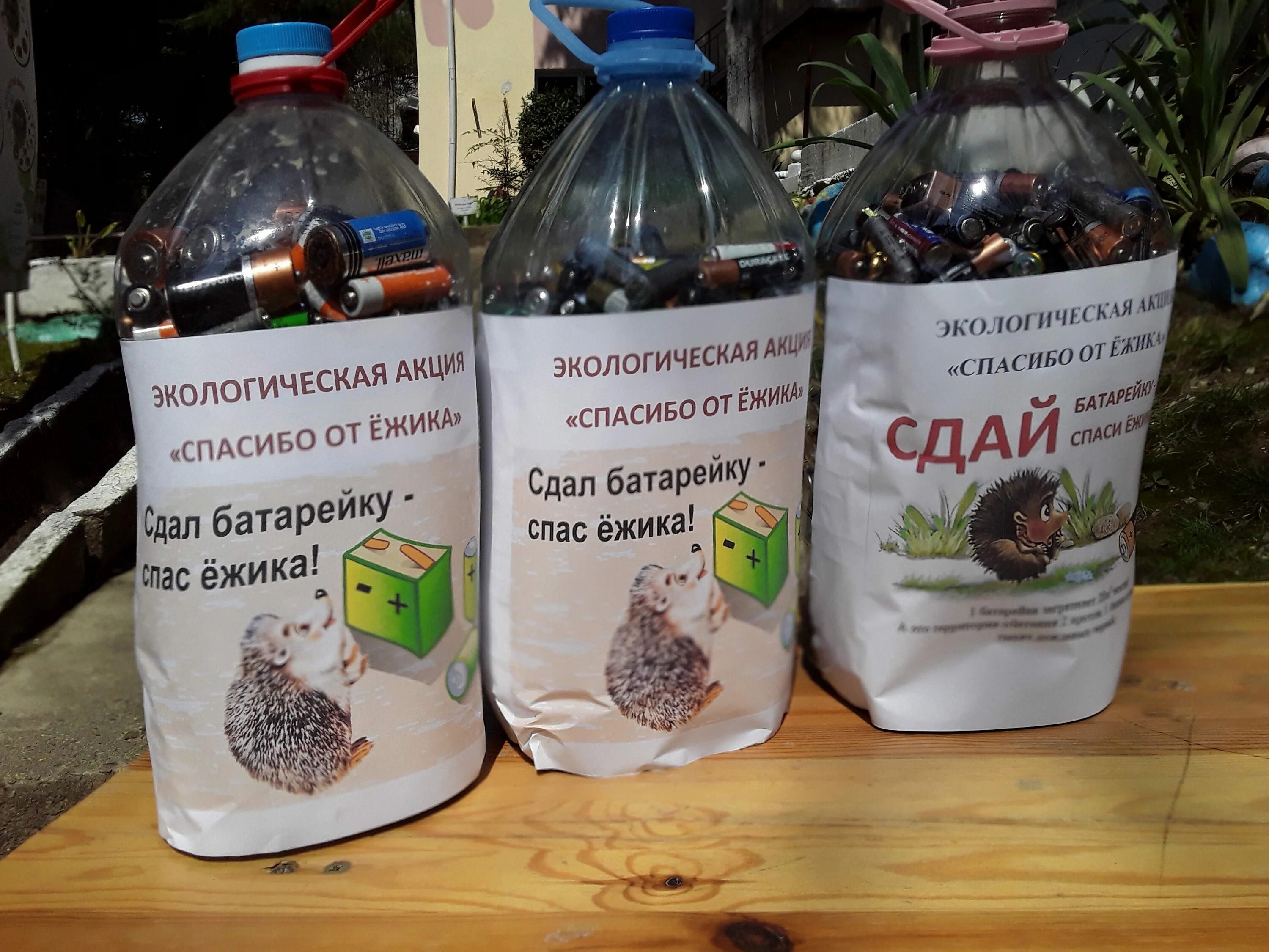 Акция спасем ежика. Сдай батарейку спаси ежика. акция сдай батарейку спаси ежа. сдал батарейку спас ежика.