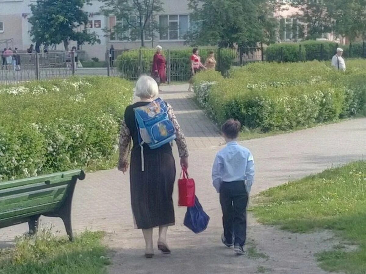 Хотели помочь бабушке. Провожаем в школу. Бабушка с тяжелыми сумками. Мать провожает ребенка в школу. Бабушка и внук.