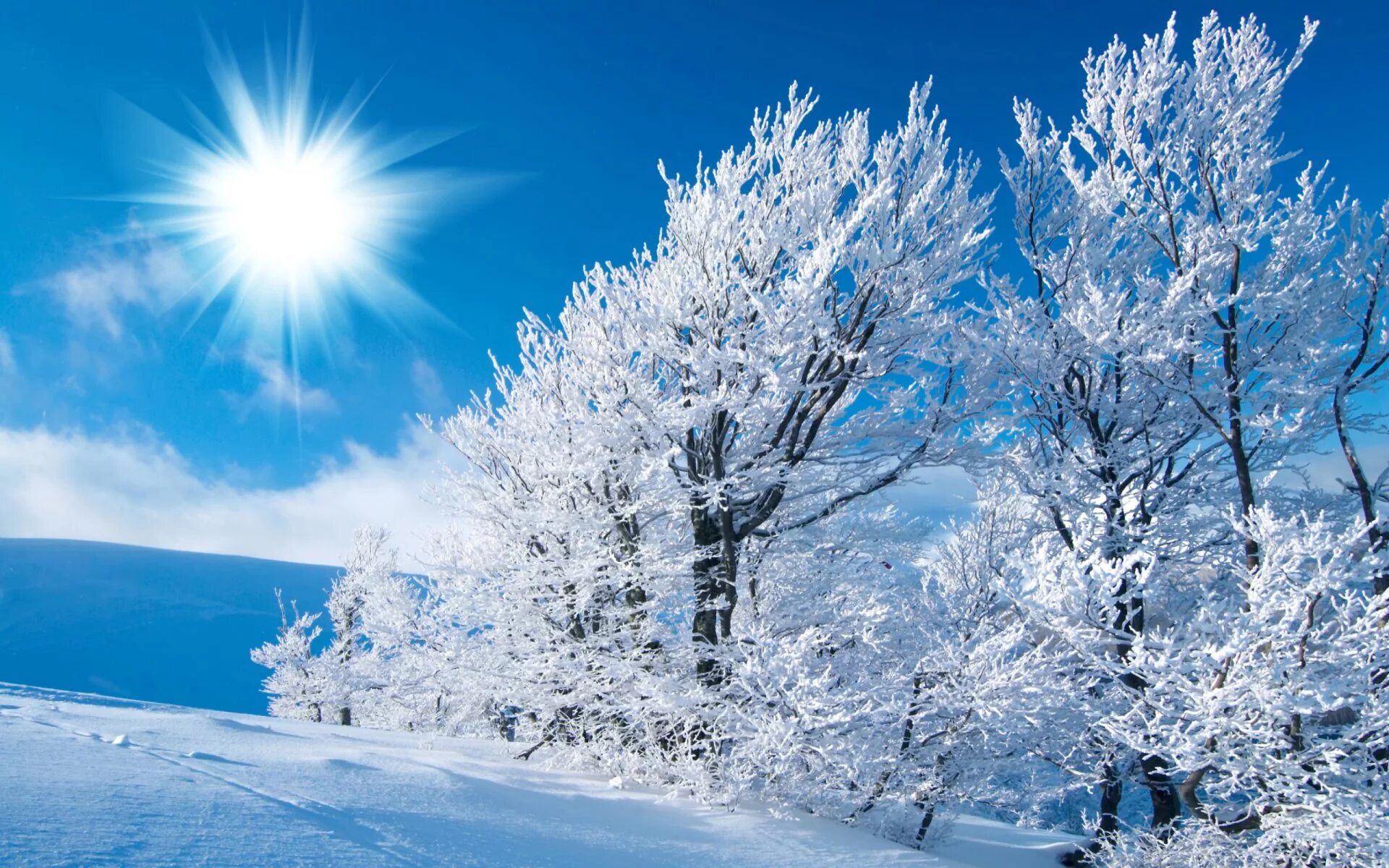 Красивая зима. Зима солнце. Зимняя природа. Зима пейзаж. Солнечный день январь