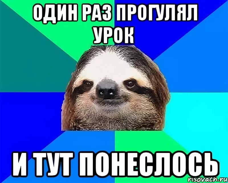 Что сказать если прогулял урок. Прогуливать уроки. По одному суки Мем Ленивец. Прогуливают занятия. Ленивец мемы.