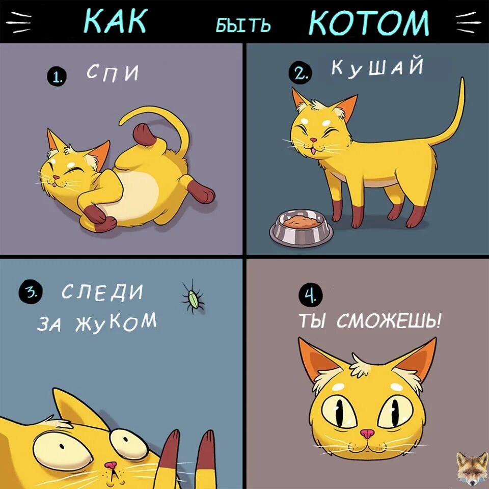 Стань котиком. Как стать котиком. стати кота. как стать котом в реальной жизни. как стать кошкой.