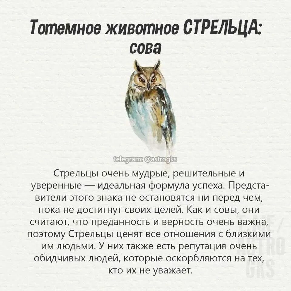 Тотемное животное. Тотемноеживотноестрел ца. Тотемное животное стре. Тотемное животное Стрельцов. Гороскоп стрелец 10 апреля