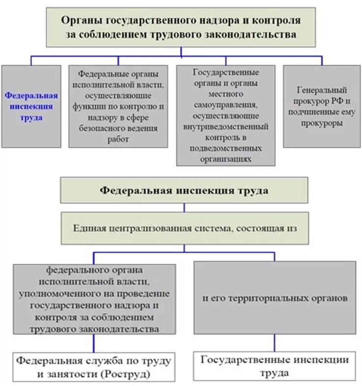 Надзор и контроль за соблюдением трудового законодательства схема. Структура Федеральной инспекции труда РФ. Федеральная инспекция труда схема. Государственные органы н. Органы уполномоченные учреждения специализированные