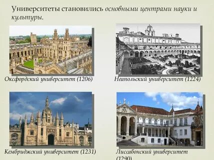 Первые университеты появились в веке