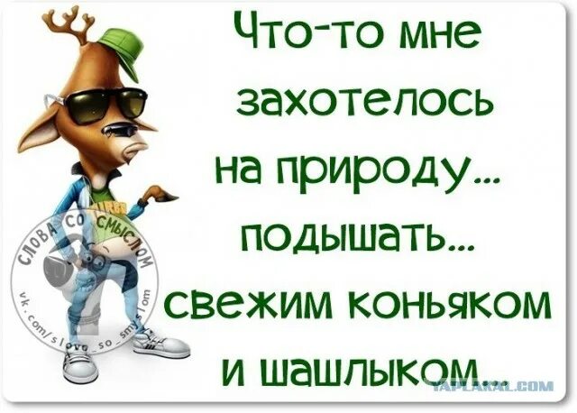 Картинки на статус в ватсап прикольные. Смешные статусы. Прикольные статусы для ватсапа. Смешные статусы. Прикольные статусы для вот сап.