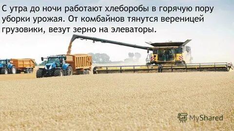 Пора уборки урожая