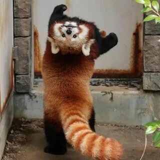 Просто смешные картинки