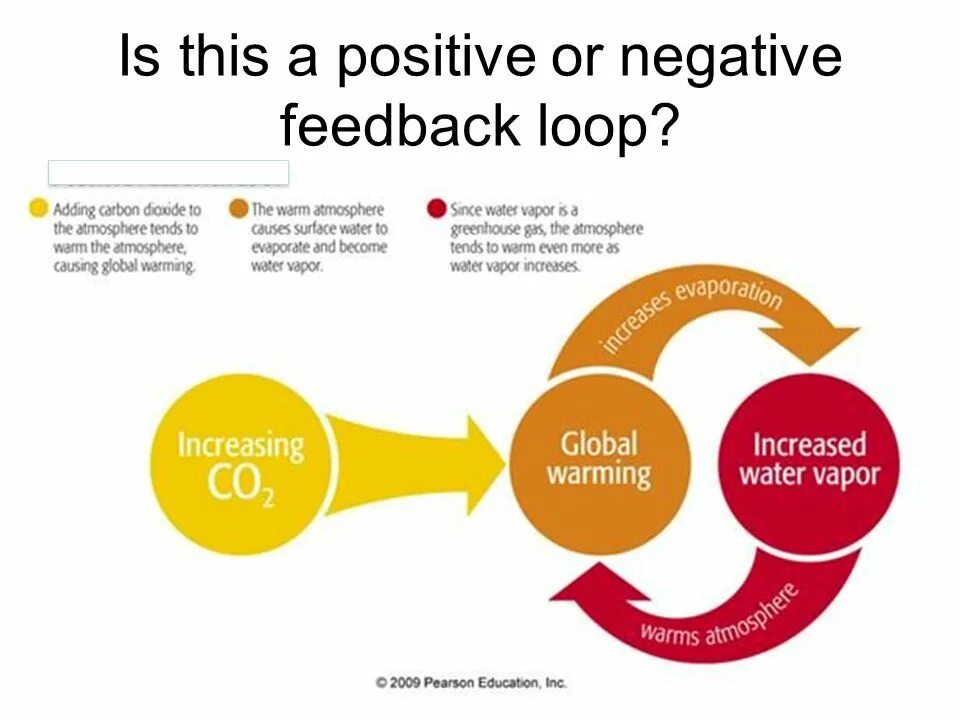 Add loop. Unreal engine 4 loop. Loop cut в блендере. Где loop cut. Edge cut blender.