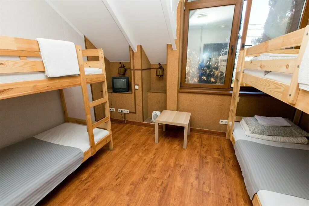 хостел ривьерский. хостел сочи. камышовая 13 адлер. хостел олимп москва. сочи альпийская 16/8 хостел.