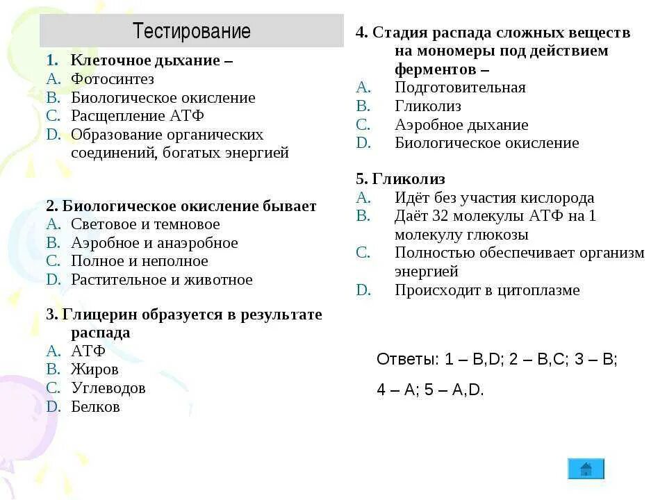 Строение клеток тест с ответами