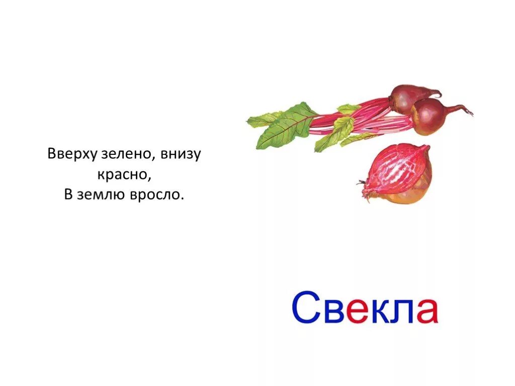 Загадка сверху черно внутри. Вверху зелено внизу красно в землю вросло. вверху зелено внизу красно. сверху зелено снизу красно в землю вросло. загадка сверху черное внутри красное засунешь приятно.