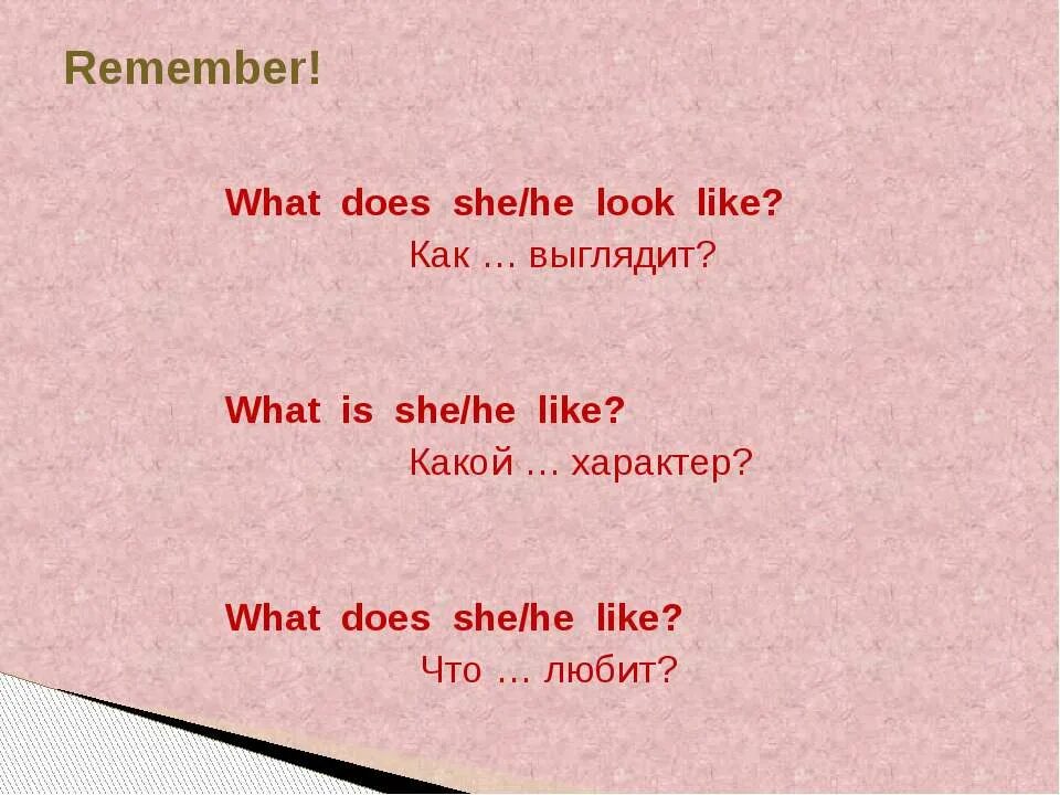 She like doing. What is he like и what does he look like разница. Look like правило. What does she look like what is she like. What is he like и what does he look like упражнения.