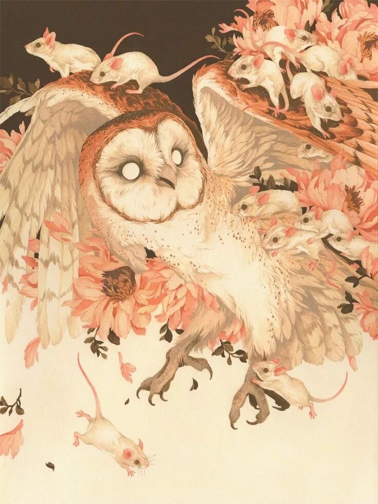 Сова и мышь рисунок. Teagan white иллюстратор. милые иллюстрации тиган уайт. тиган уайт художник. сова арт.