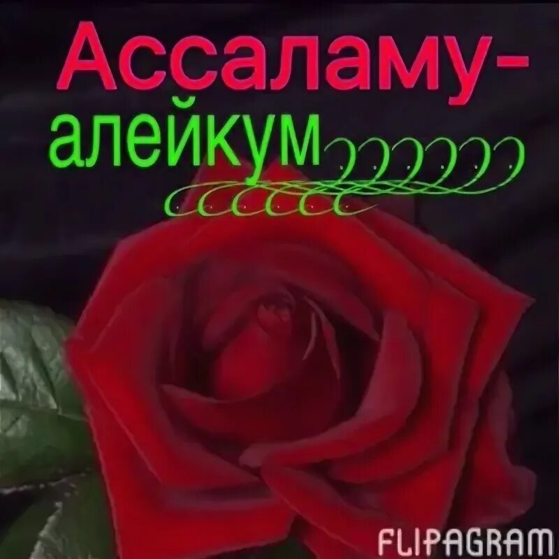 Салам малейкум малейкум песня. Салам алейкум. Картинки Ассаляму алейкум. Ассаламу алейкум фото. Открытки Ассалам алейкум.