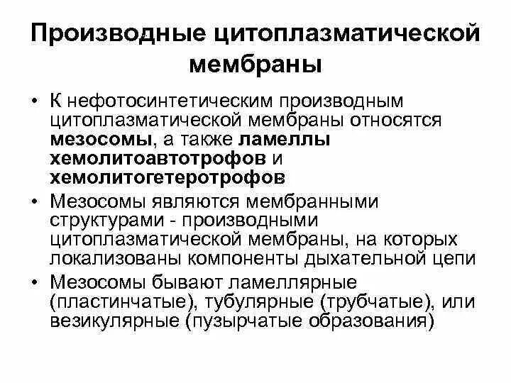 Строение и функции цитоплазматической мембраны бактерий. Производные цитоплазматической мембраны. Химический состав и функции цитоплазматической мембраны бактерий. Функции цитоплазматической мембраны бактериальной клетки. Цитоплазматическая мембрана мезосомы