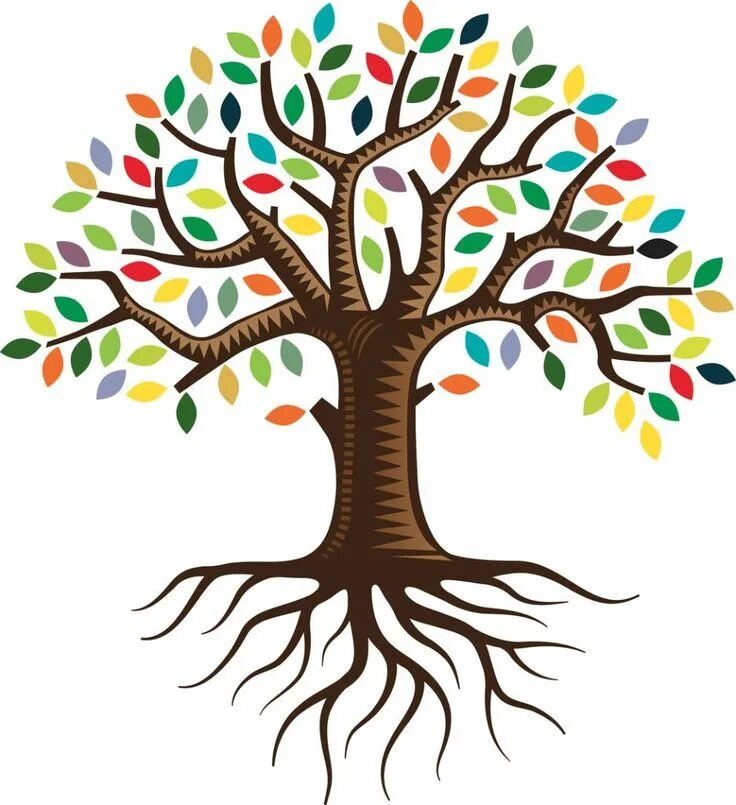 Baum und