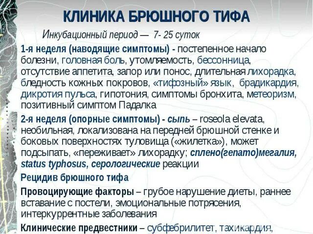 Основные симптомы брюшного тифа. Характерные симптомы брюшного тифа. Клинические периоды брюшного тифа.