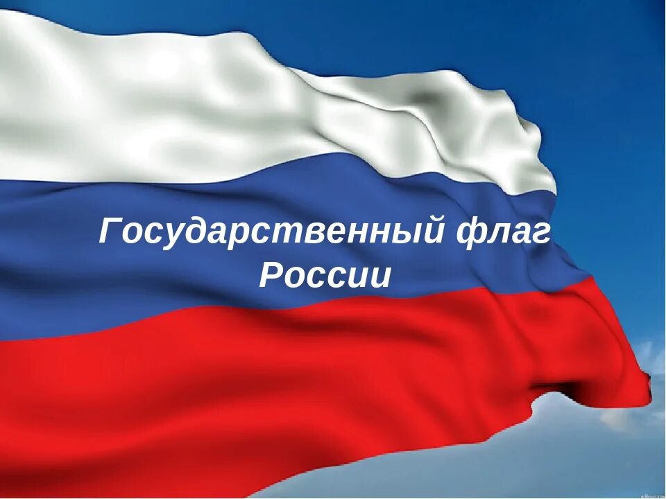 Родина государственного флага область. Мы граждане России. Гордость России. Государственный флаг России. Акция мы граждане России.