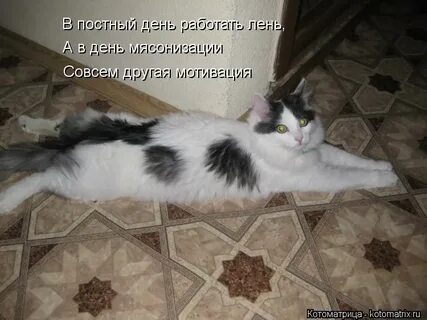 Где там диво трудятся не лениво счастье