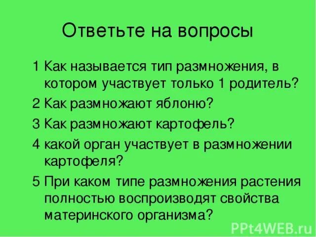 Какое размножение называется половым. Родители и дети. Половое размножение животных. Участвуют 2 родителя. Фотография семьи.