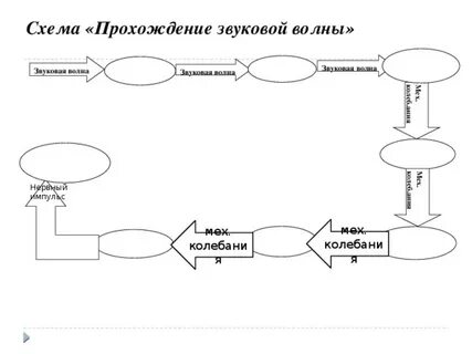 Звуки проведения