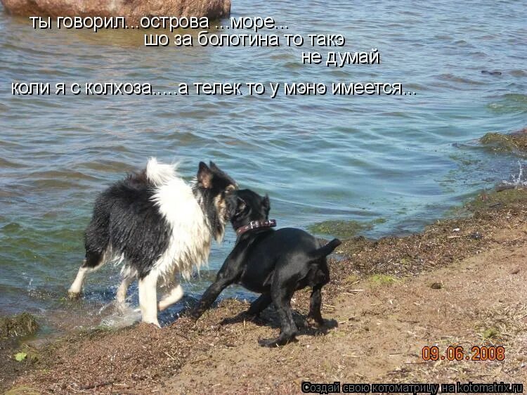 сказала острова