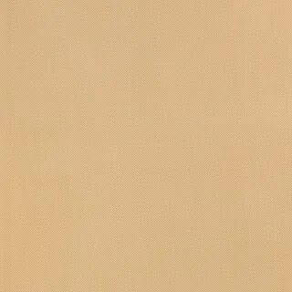 Светло коричневый цвет ткань