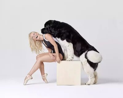 Dogs Share the Spotlight With Dancers for This Stunning Photo Project 